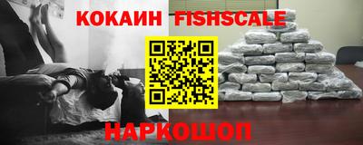гашик Кулебаки