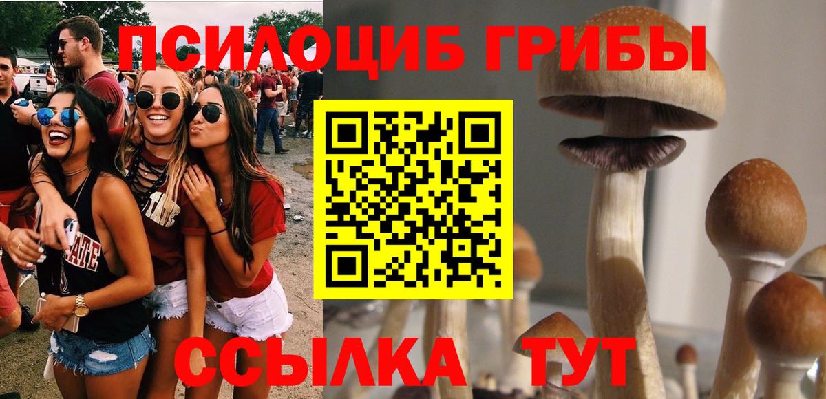 Галлюциногенные грибы прущие грибы Ставрополь