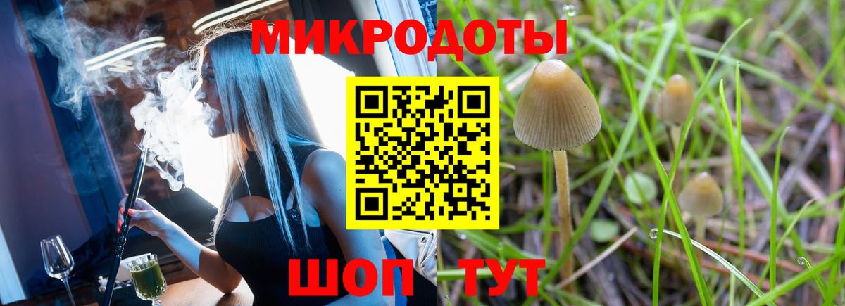 Каннабис  Меф МЯУ МЯУ  Alpha PVP СК   Вход с VPN  Мефедрон   Экстази  Ставрополь  АМФЕТАМИН   ГАШИШ  Кокаин  МЕТАДОН  ГАШИШ 