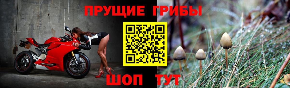 Псилоцибиновые грибы мицелий  Галлюциногенные грибы Magic Shrooms  Вход с VPN  Ставрополь 