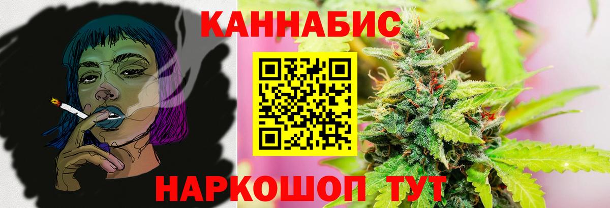 Конопля гибрид Ставрополь